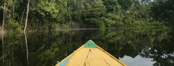 amazonia 20 dias prefiro viajar