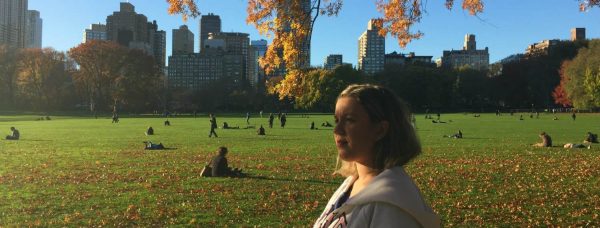 intercambio new york central park