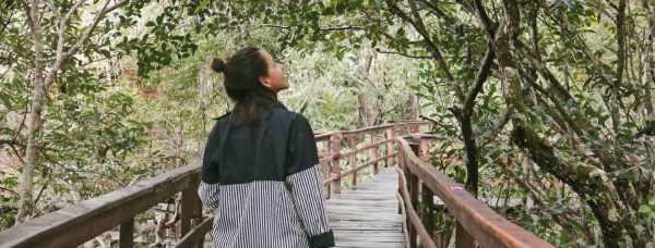Juma Amazon Lodge: como é um Hotel de Selva na Amazônia?